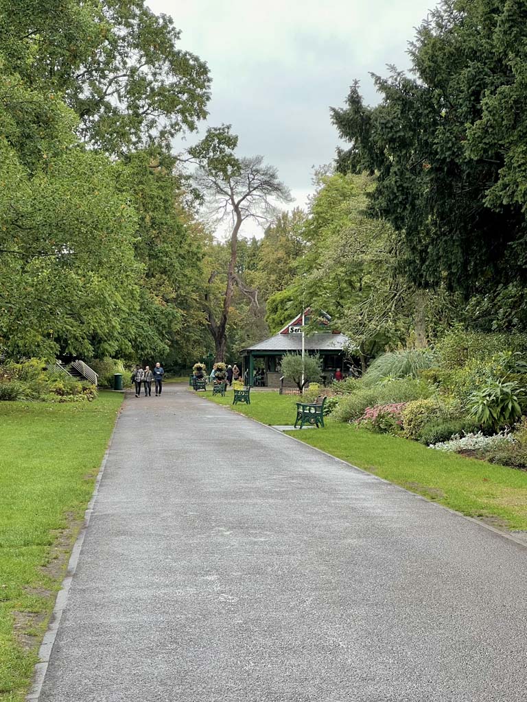 A park with lots of trees and a cabin in the distance